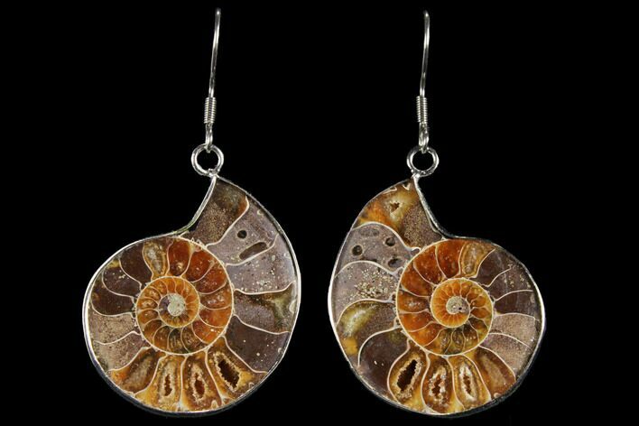 Fossil Ammonite Earrings - Million Years Old #112226
